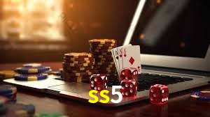 Interface Premium ss5