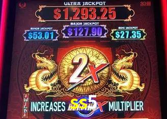 ss5 Rio de Janeiro - Professional Dealers