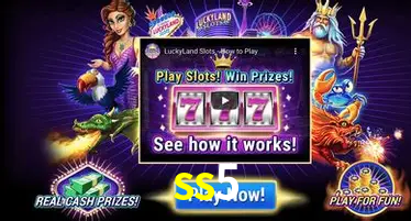 Descubra a Essência do ss5: Nossa História e Compromissos